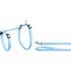 Harnas met looplijn Aiwa Meerdere kleuren Blauw, Wit Bollen