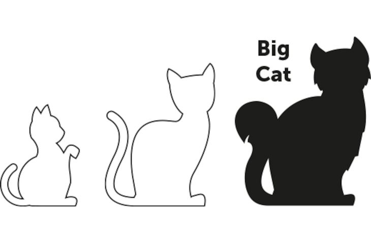 Flamingo Harnas met looplijn Alfry Meerdere kleuren