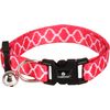 Collar Kitten Amsi Multiple colours  / 