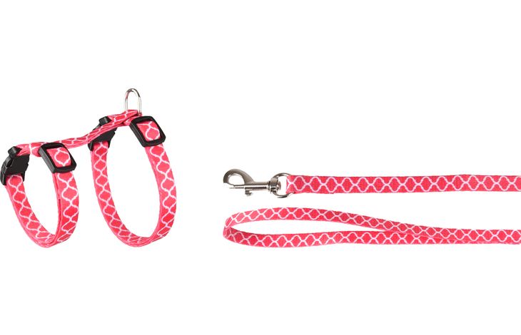 Flamingo Arnés con correa Gatito Amsi Varios colores