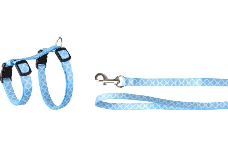 Flamingo Arnés con correa Gatito Amsi Varios colores