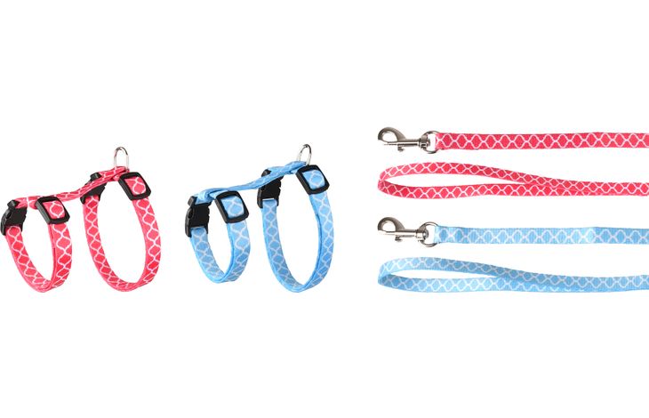 Flamingo Arnés con correa Gatito Amsi Varios colores