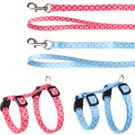 Harness with leash Kitten Amsi Multiple colours