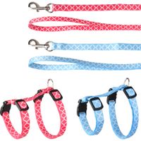 Flamingo Arnés con correa Gatito Amsi Varios colores