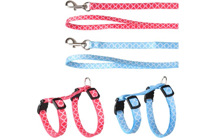 Flamingo Arnés con correa Gatito Amsi Varios colores