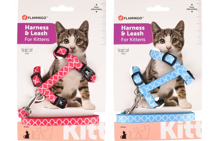 Flamingo Arnés con correa Gatito Amsi Varios colores