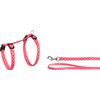 Harness with leash Amsi Multiple colours  / 