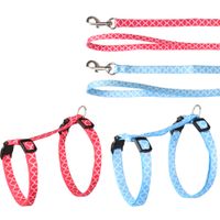 Flamingo Harness with leash Amsi Multiple colours