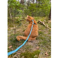 Flamingo Harness with leash Amsi Multiple colours