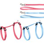 Harness with leash Amsi Multiple colours