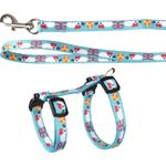 Harness with leash Kitten Arwen Light blue
