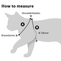 Flamingo Pettorina con guinzaglio Arwen Azzurro