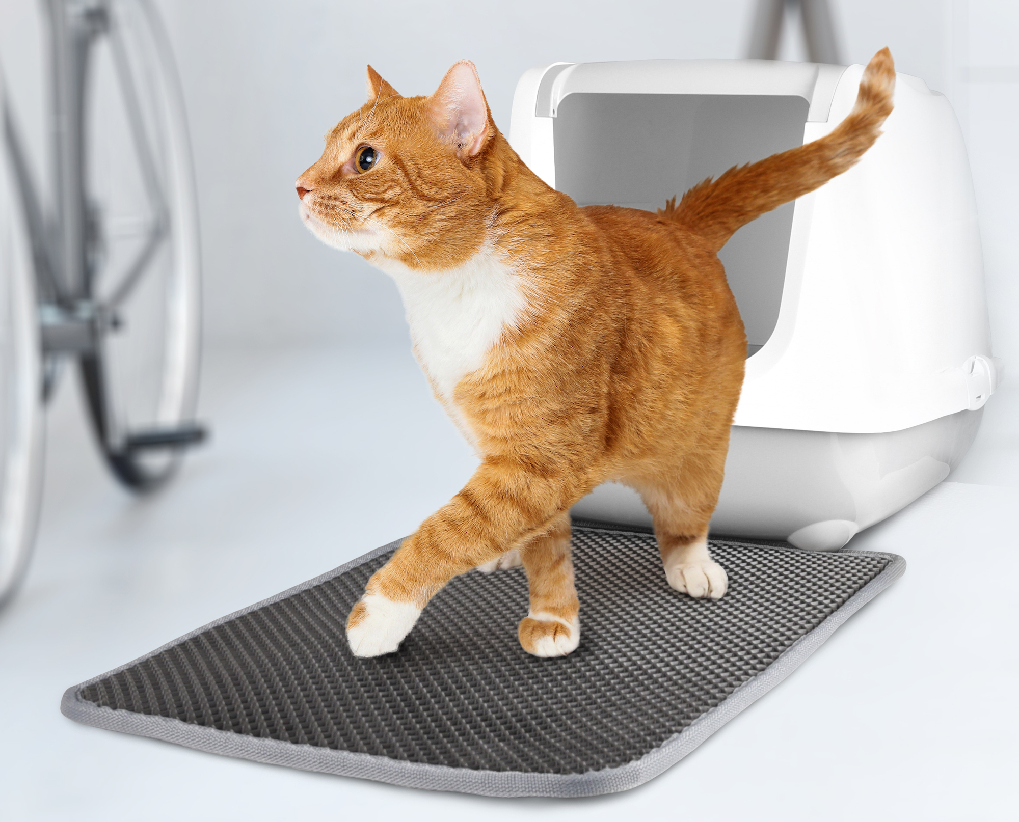 Cat litter 2025 mat argos