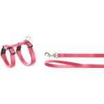  Harness with leash Kitten  Ziggi Cherry red