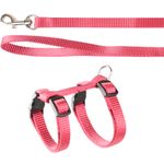 Harness with leash Kitten Ziggi Cherry red