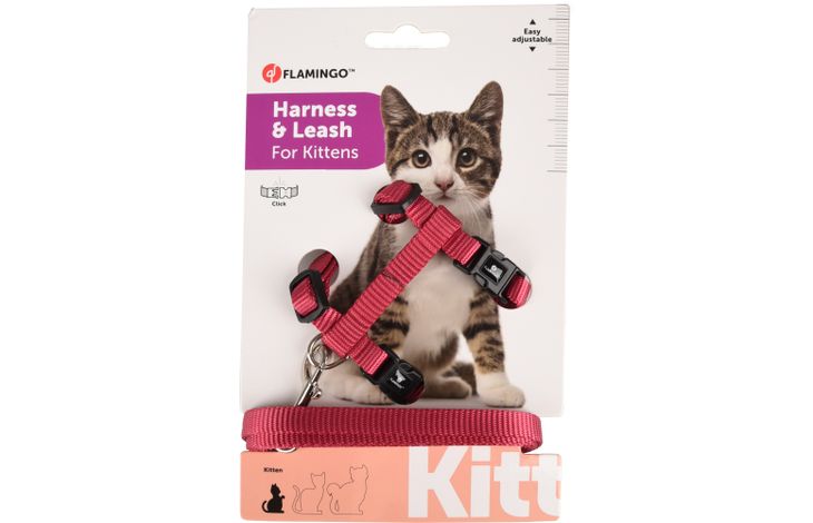 Flamingo Arnés con correa Gatito Ziggi Rojo cereza