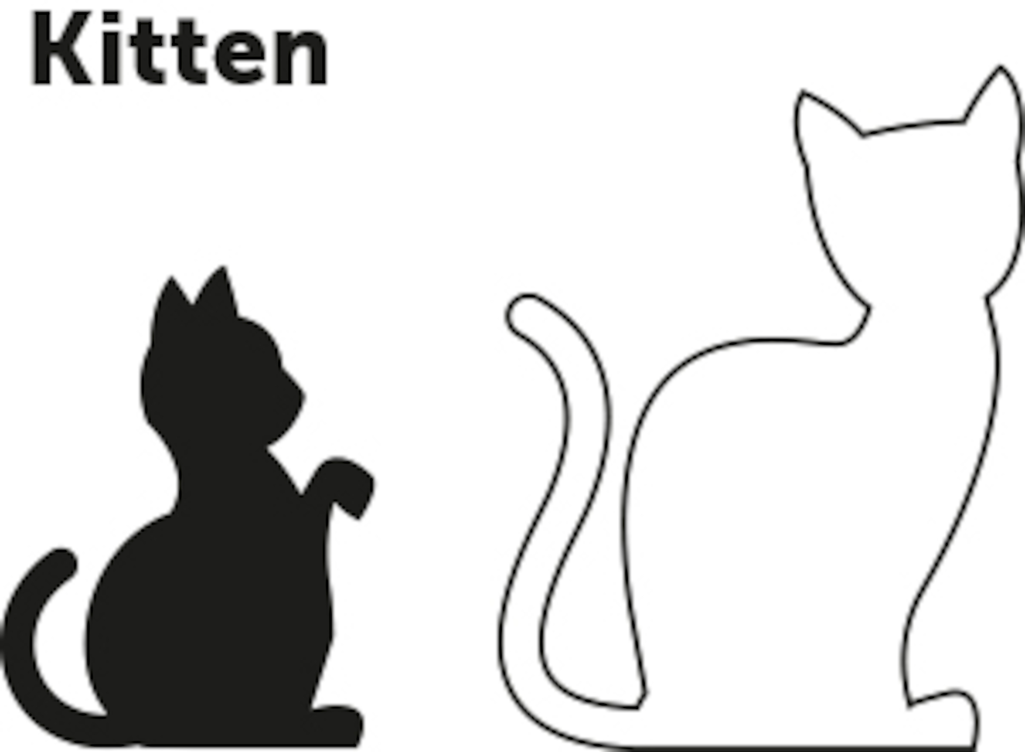 Flamingo Collar Kitten Ziggi Black