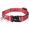 Collier Chaton Ziggi Rouge cérise