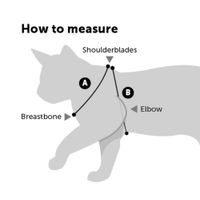 Flamingo Harness with leash Kitten Serwan Multiple colours