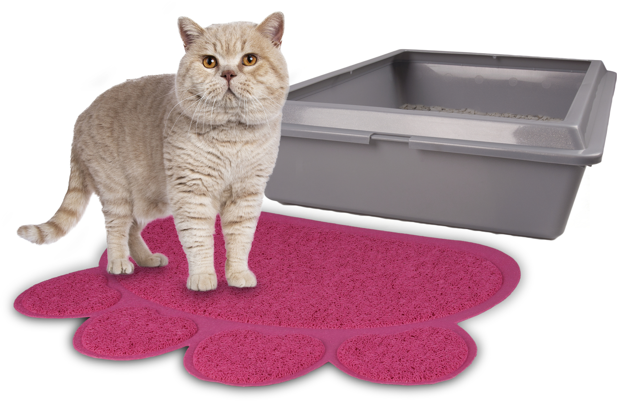 Flamingo Cat litter tray mat Pitou Matti Fuchsia