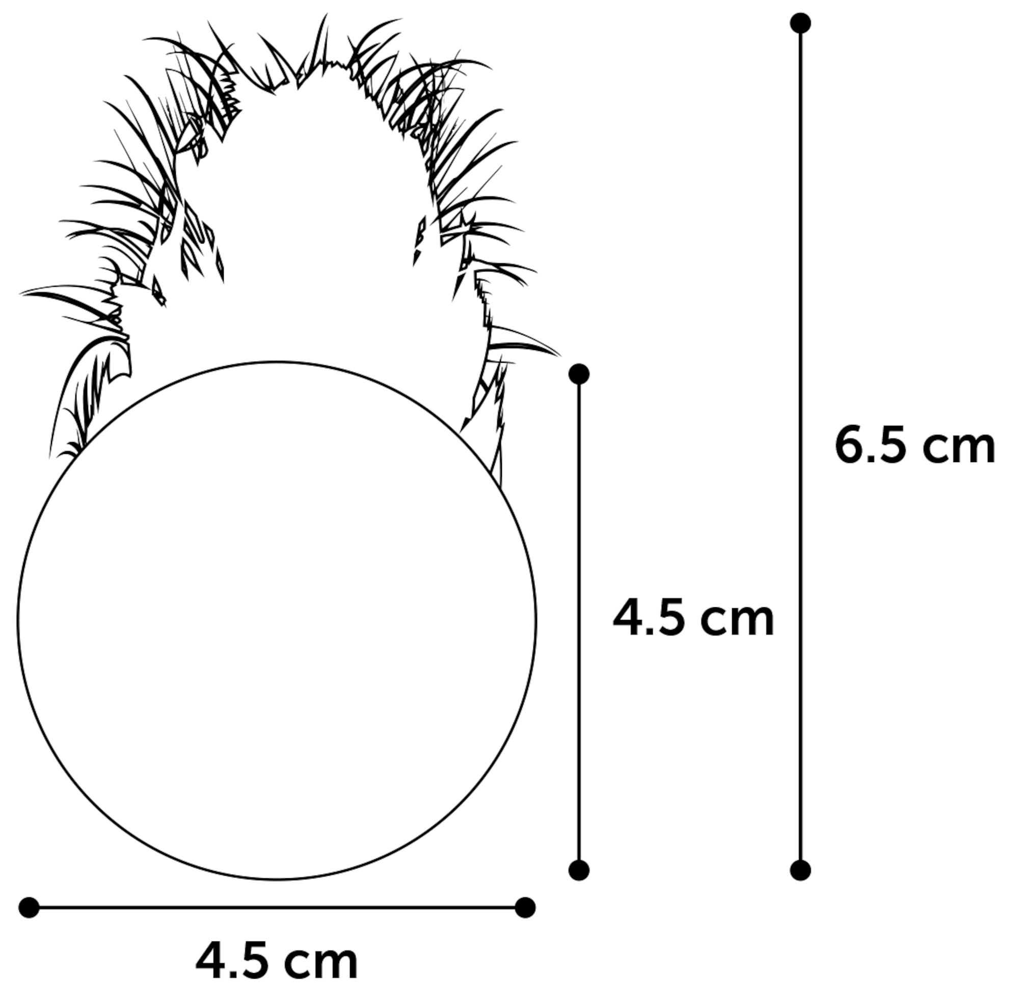 Flamingo Toy Holly Ball Multiple colours