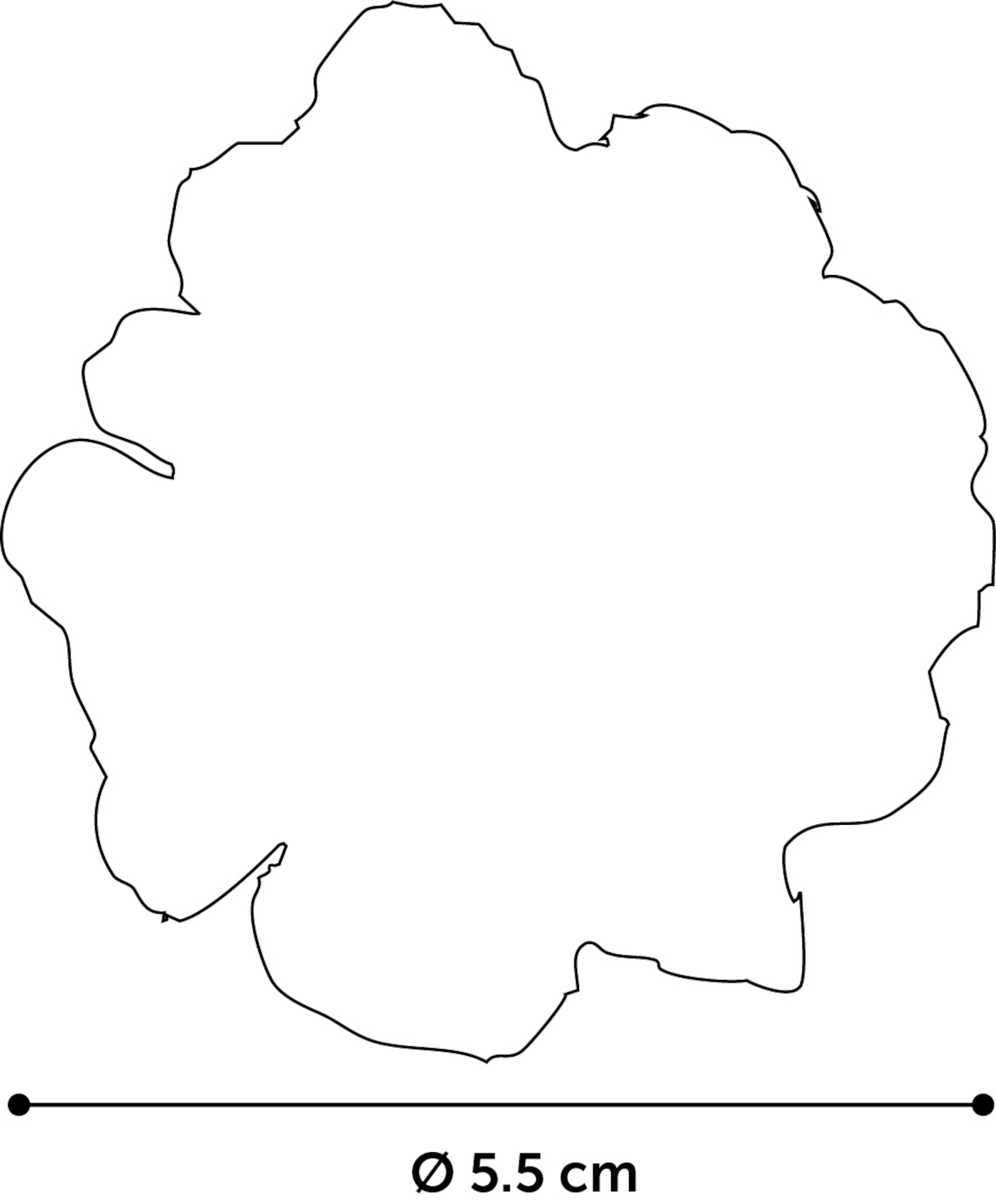 Flamingo Toy Neva Ball White