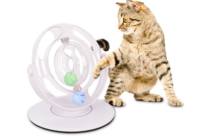 Flamingo Gioco elettronico Dita Ruota con pallina Bianco