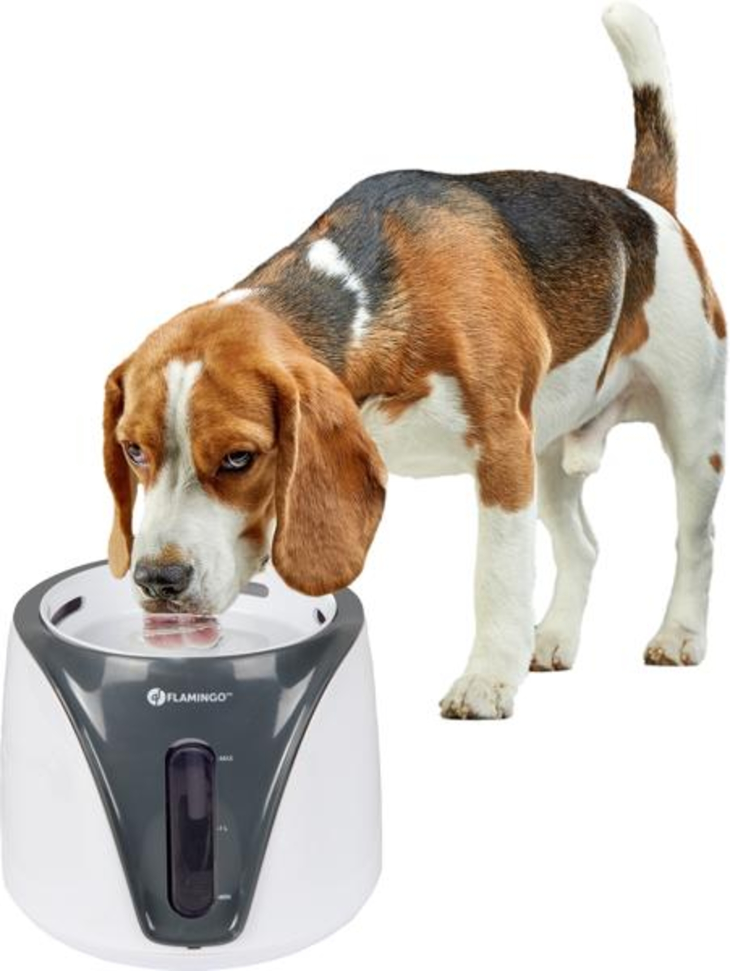 Flamingo Drinking fountain Adriana White & Grey