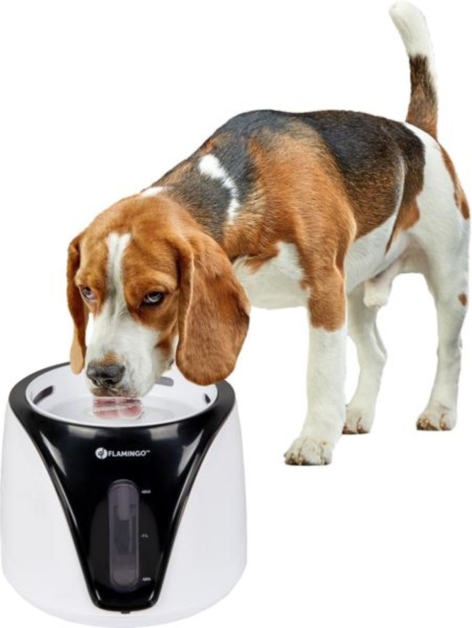 Flamingo Bebedero fuente Adriana Blanco & Negro