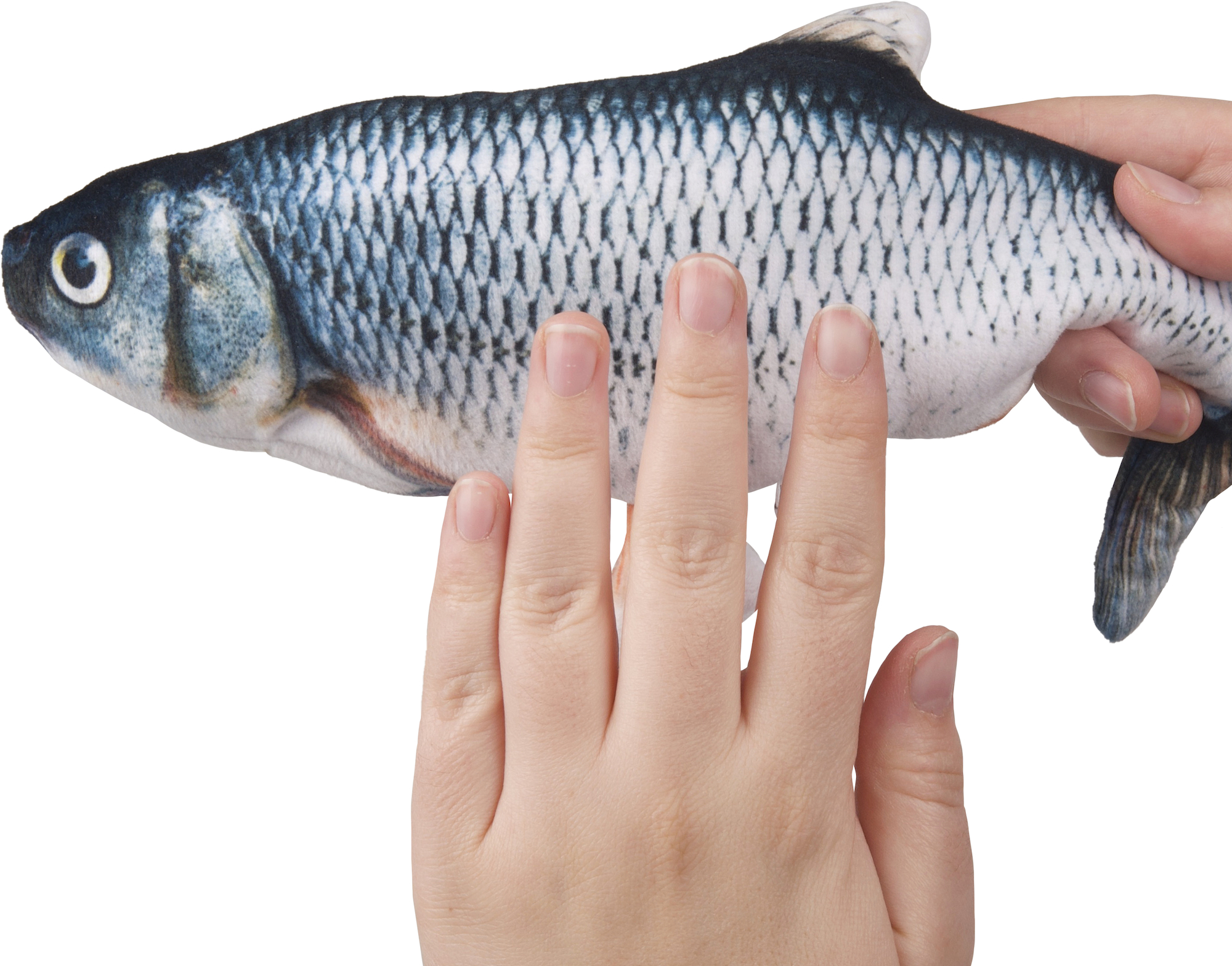 Flamingo Gioco elettronico Flounder Pesce Grigio