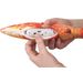 Electronic toy Flounder Fish Orange