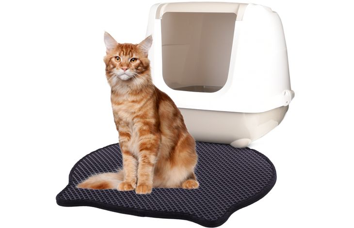 Flamingo Kattenbakmat Matz Zwart
