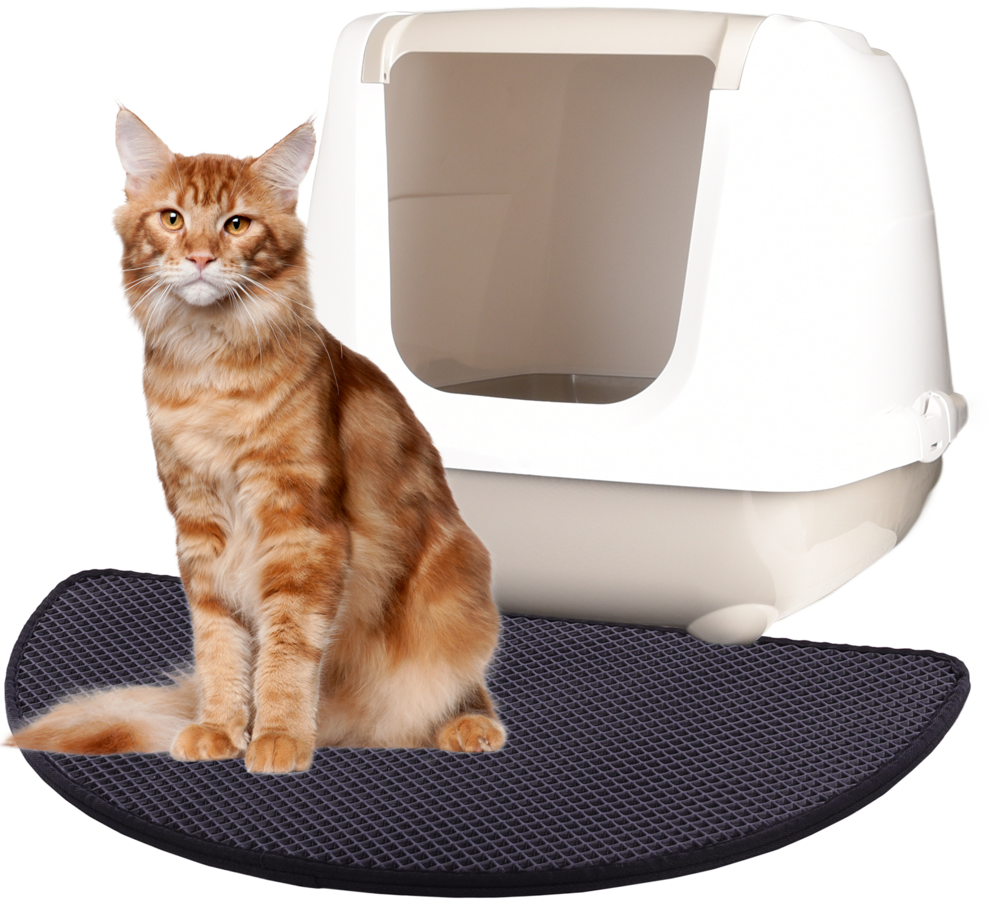 Cat litter outlet tray mats