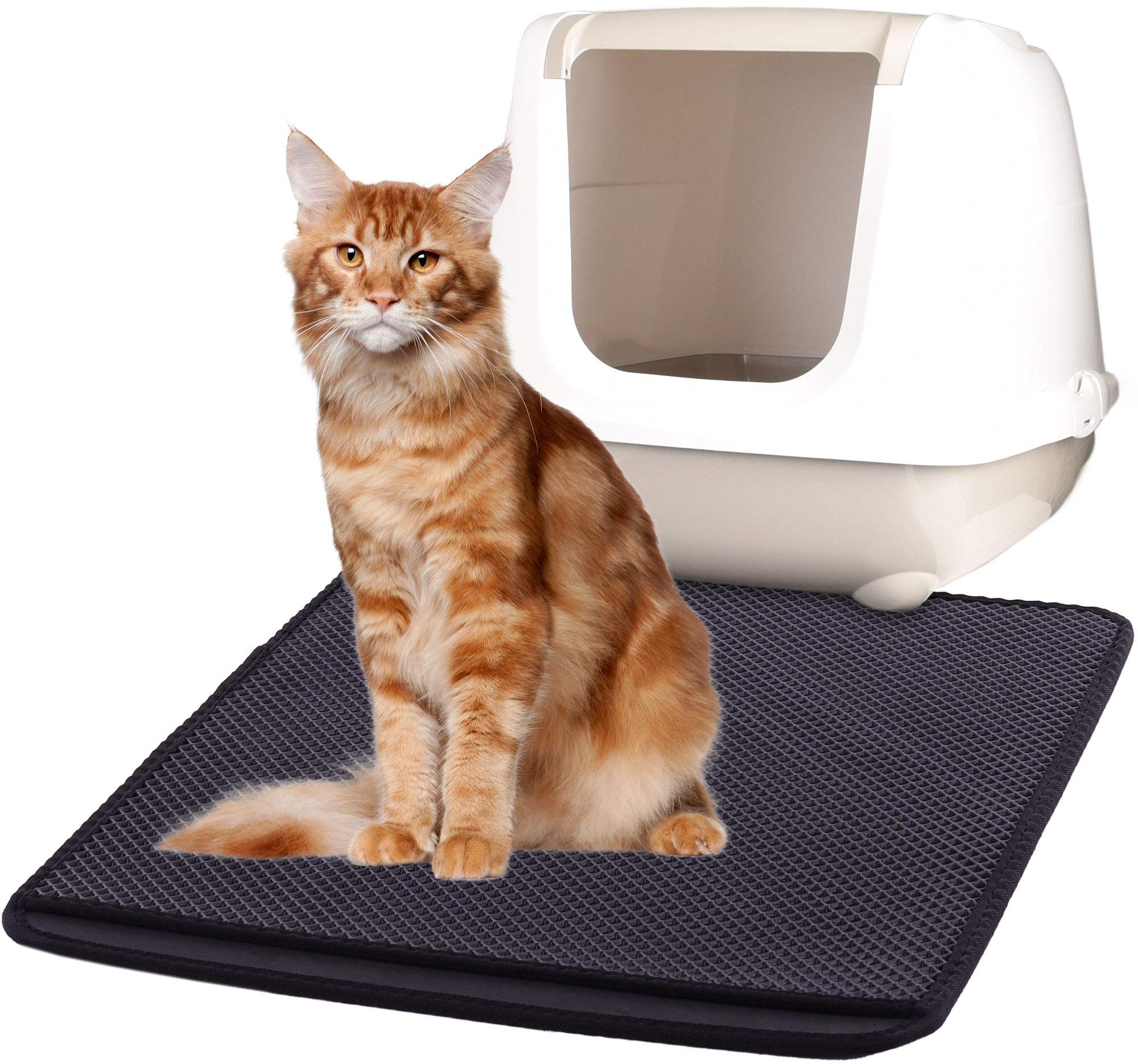 Cheap hotsell litter tray