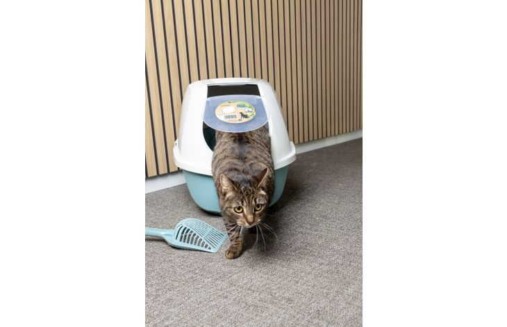 Flamingo Kattentoilet Trini Meerdere kleuren