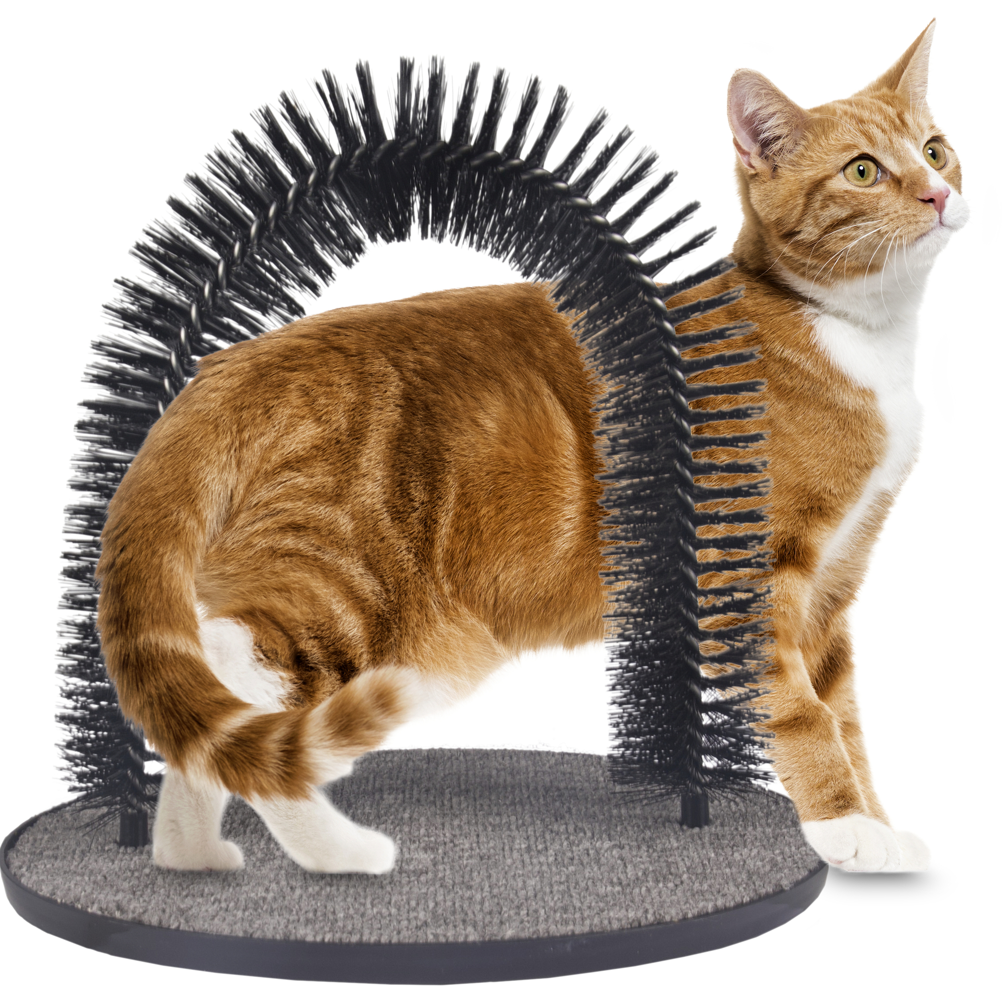 Flamingo Massage brush Triomf