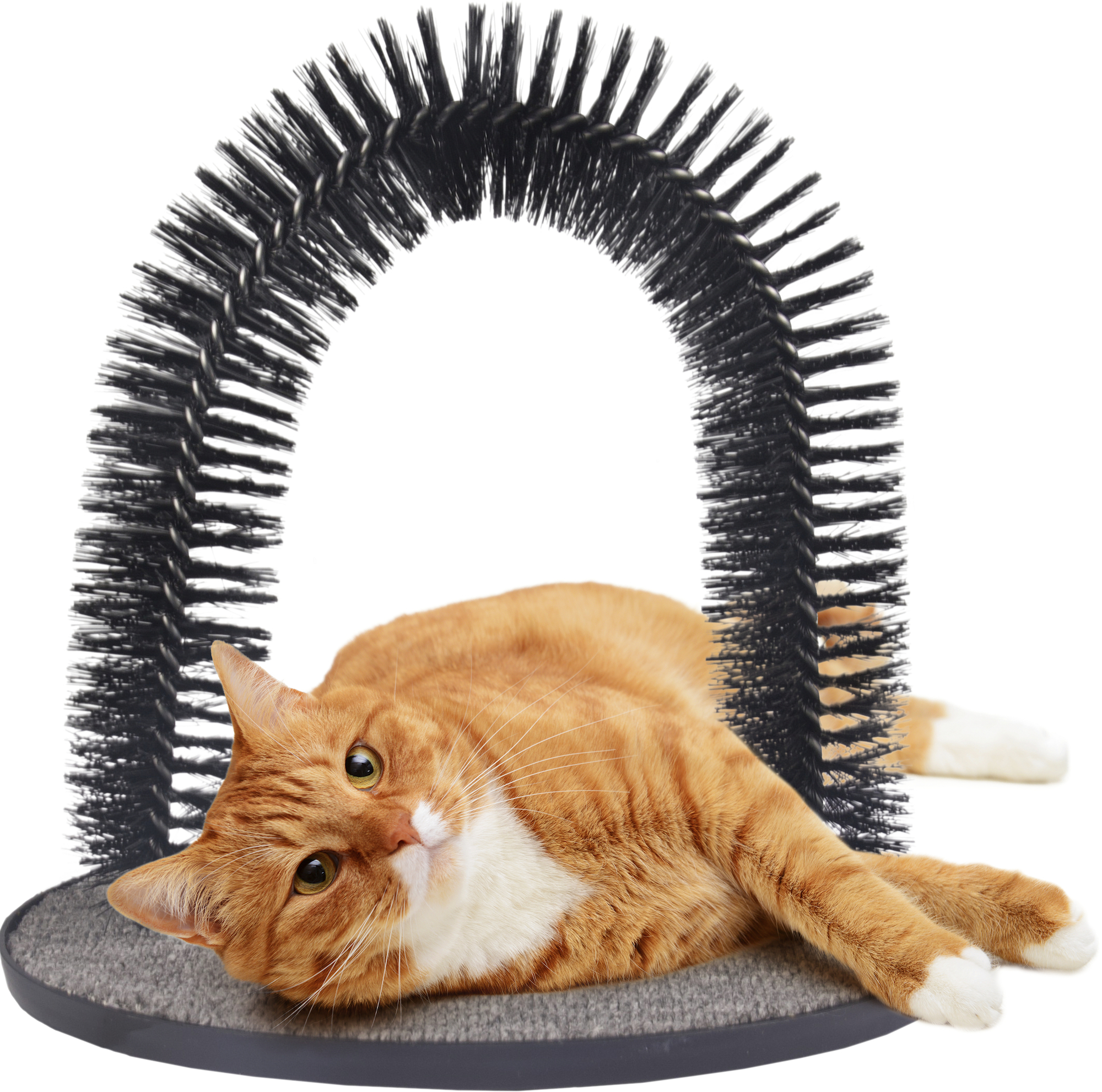 Flamingo Massage brush Triomf