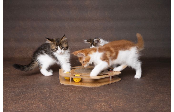 Flamingo Jouet à griffer Densi  Hexagone avec balle Brun