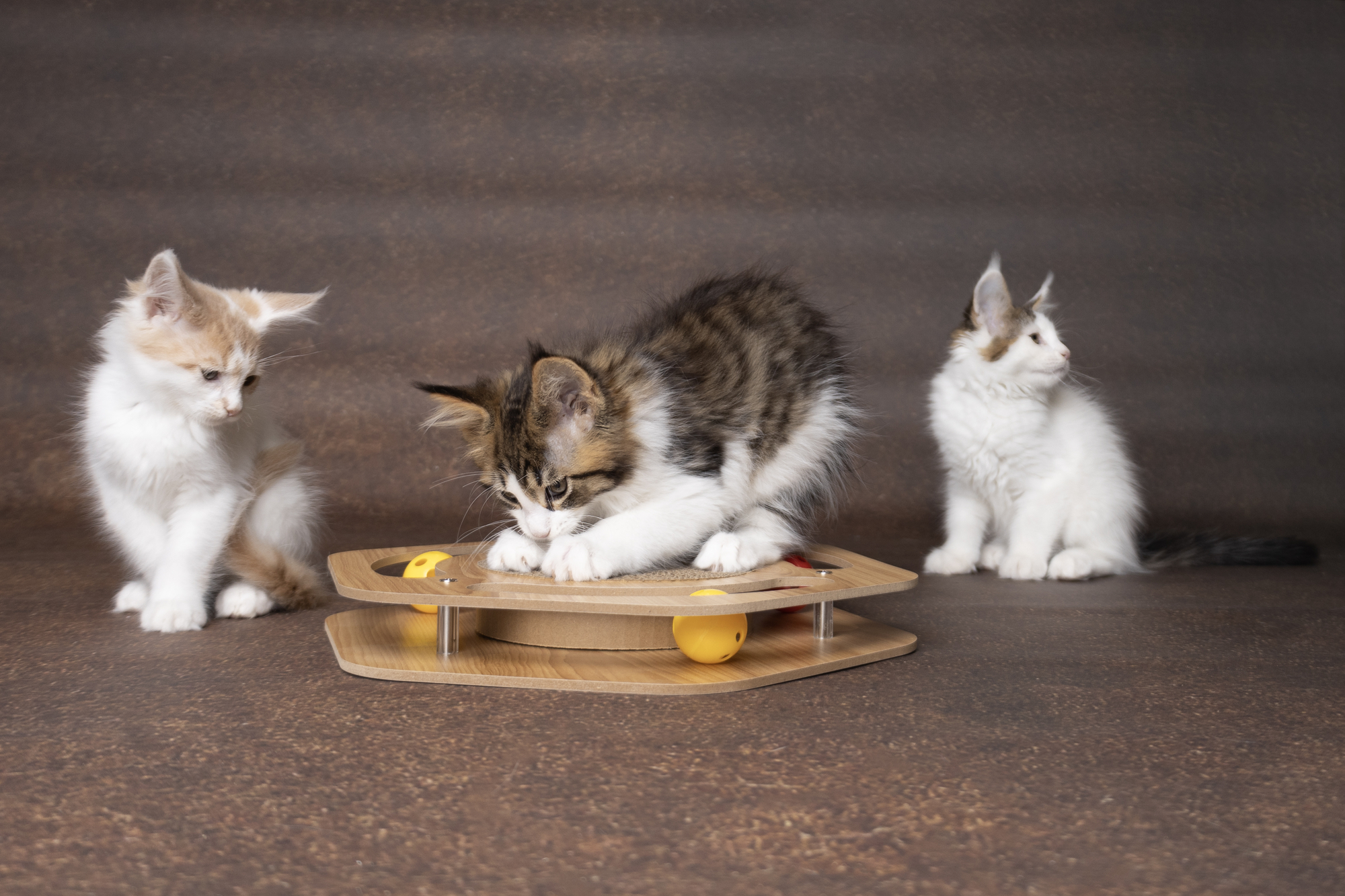 Flamingo Jouet à griffer Densi  Hexagone avec balle Brun