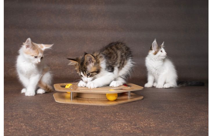 Flamingo Jouet à griffer Densi  Hexagone avec balle Brun