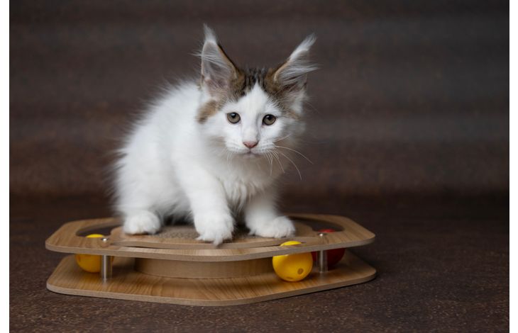 Flamingo Jouet à griffer Densi  Hexagone avec balle Brun