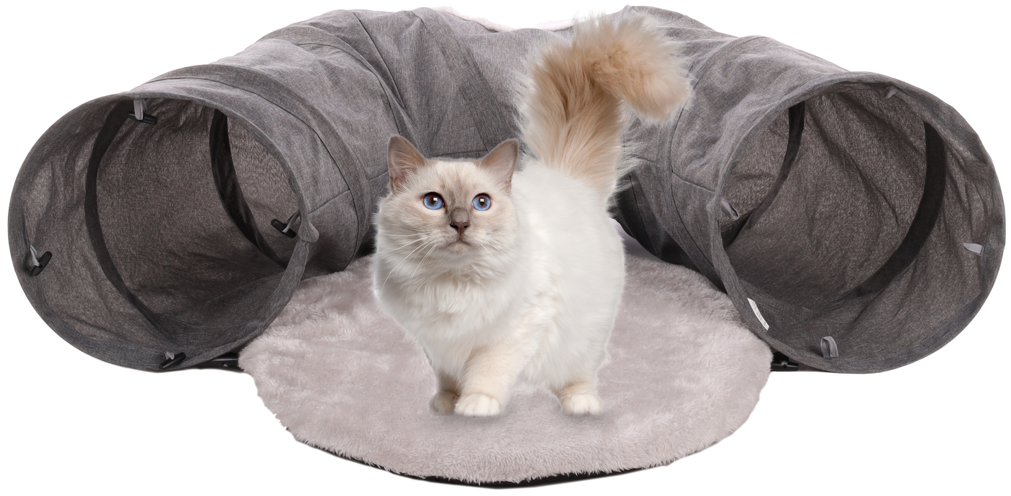 Grey cat tunnel sale