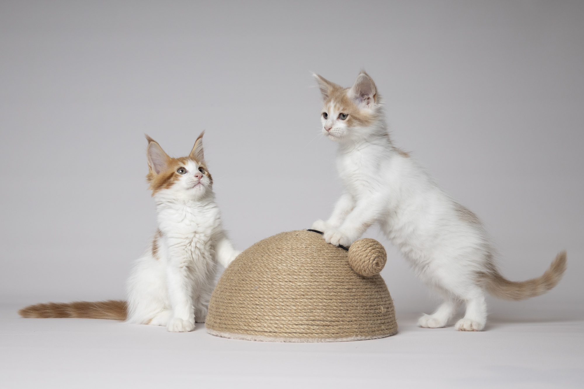 Flamingo Scratching toy Veda Beige