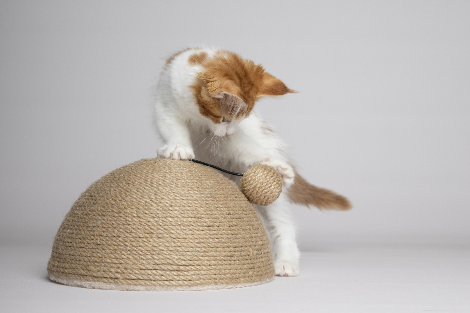 Flamingo Scratching toy Veda Beige