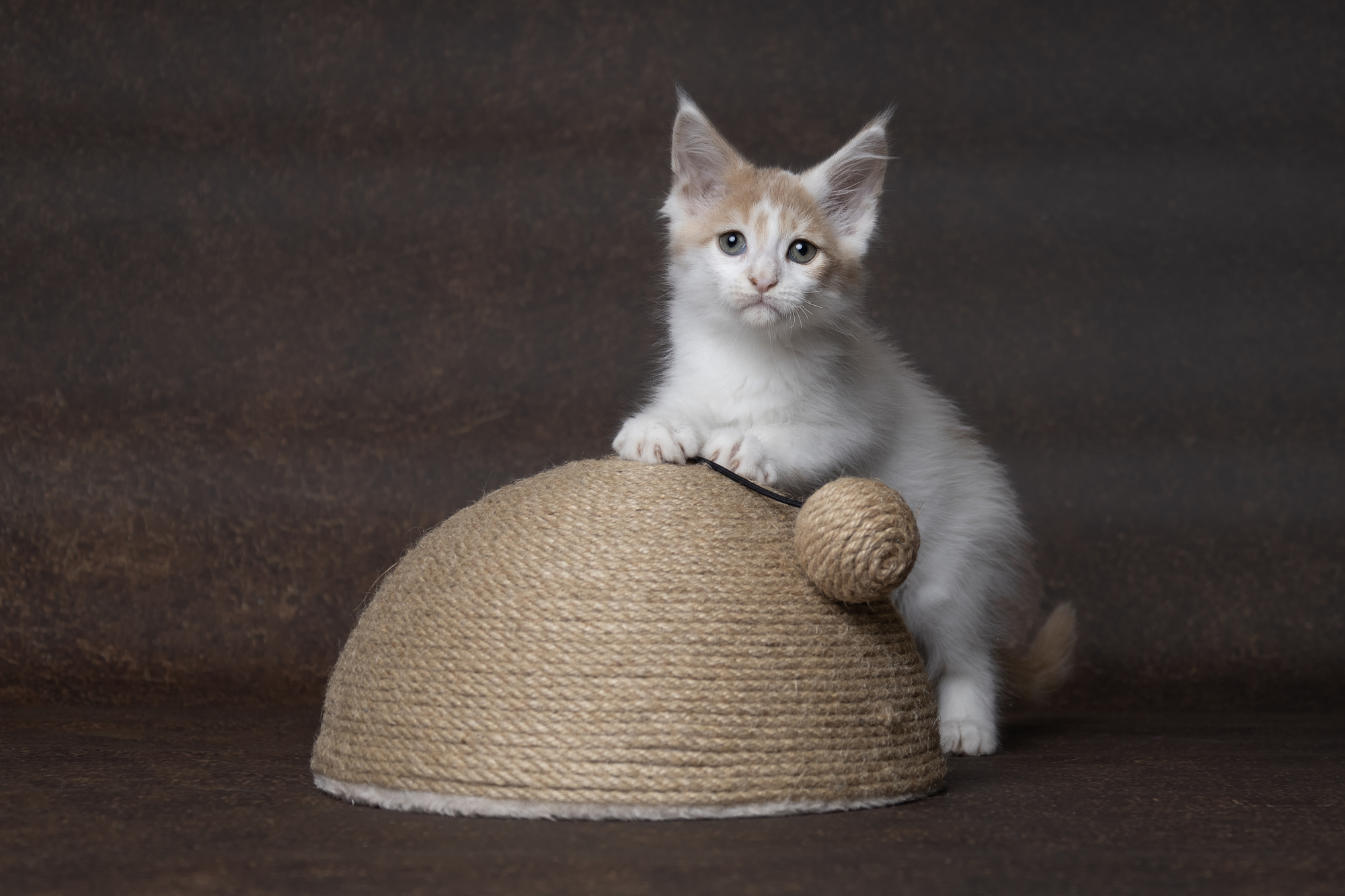 Flamingo Scratching toy Veda Beige