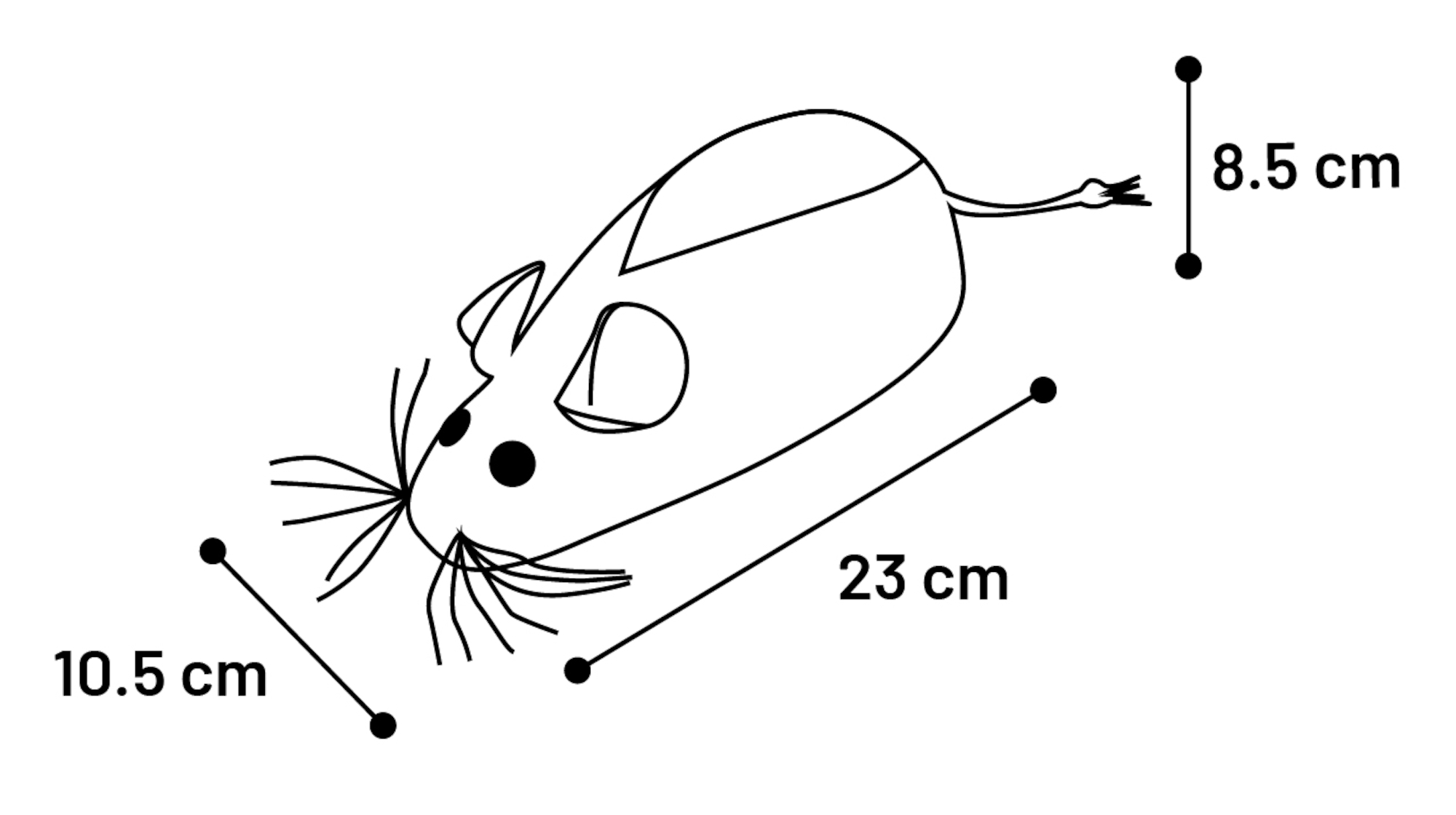 Flamingo Speelgoed Bandit Muis Minoes Beige