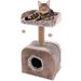 Scratching tree  Oscar Taupe