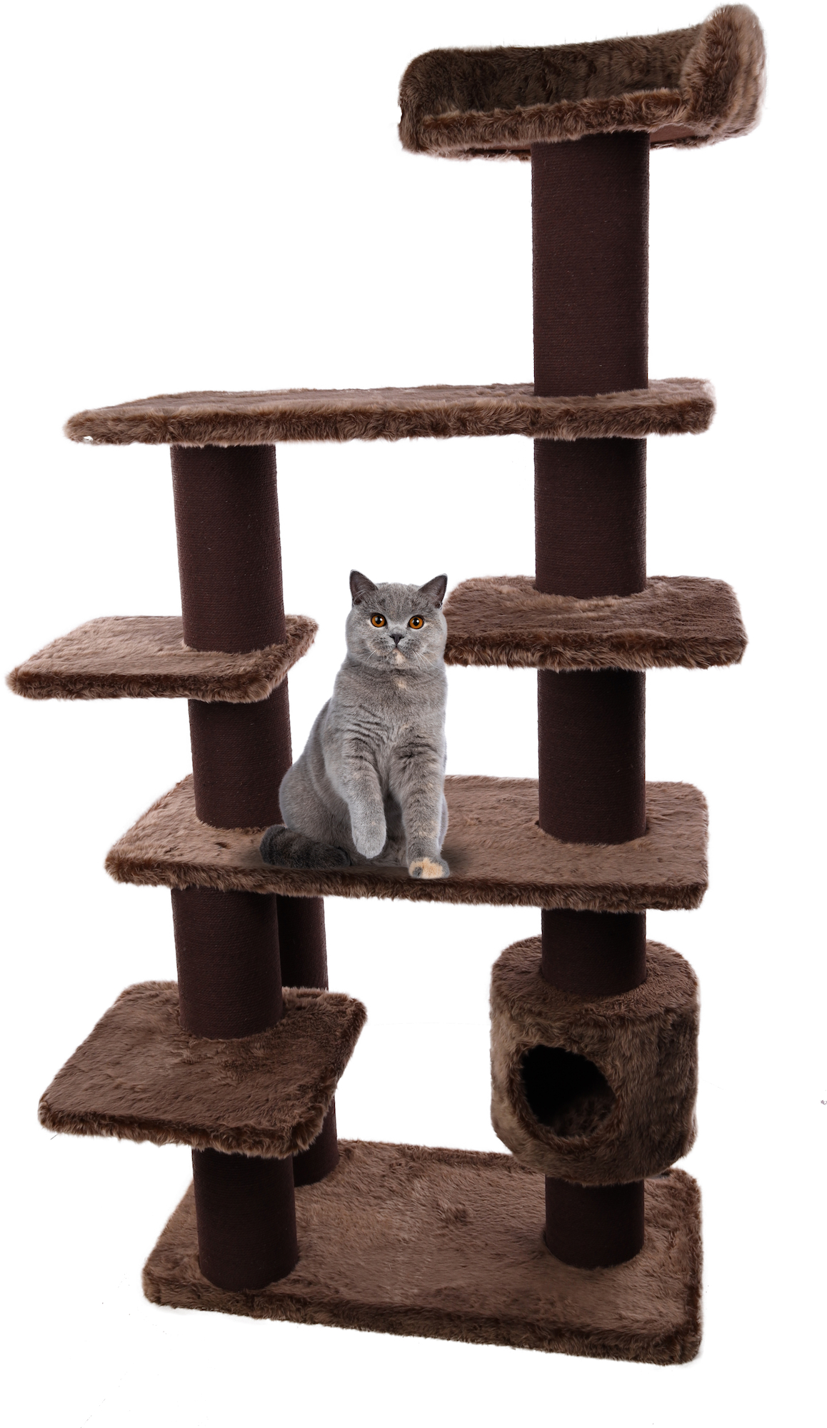 Flamingo Krabpaal Mowgli Bruin