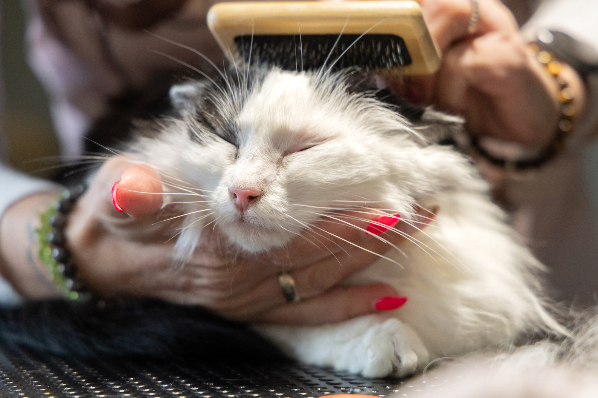 Flamingo Slicker brush Babu