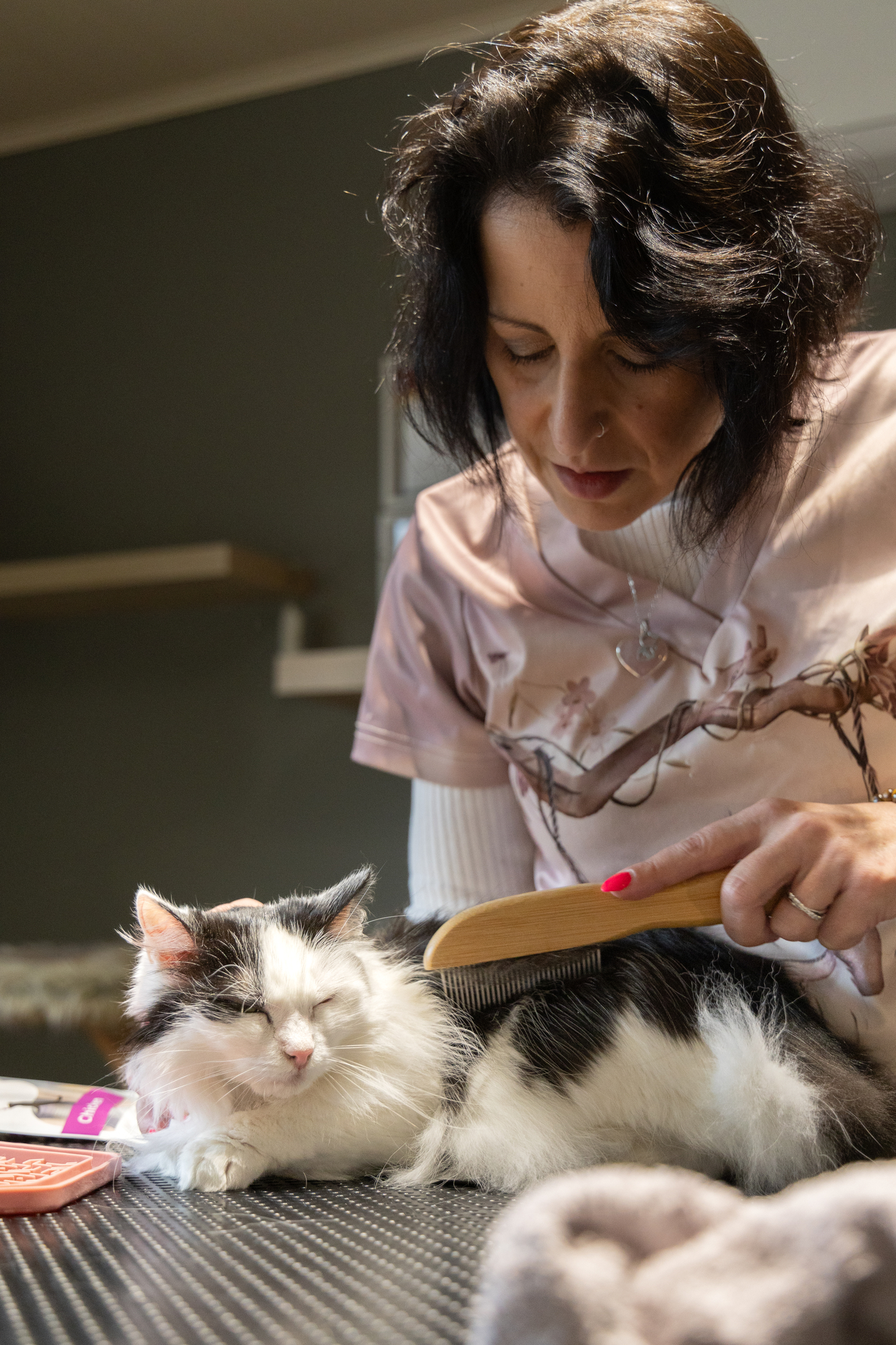 Flamingo Comb rotating Babu